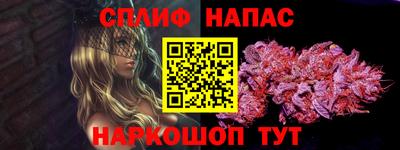 apvp Краснодар