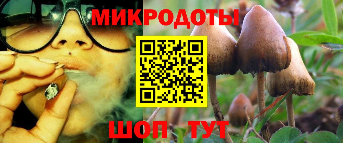 Псилоцибиновые грибы мицелий Камень-на-Оби