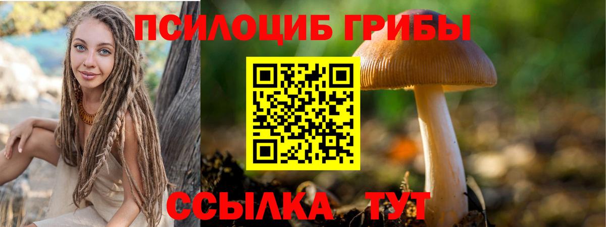 Камень-на-Оби  Галлюциногенные грибы мухоморы  Вход с VPN 